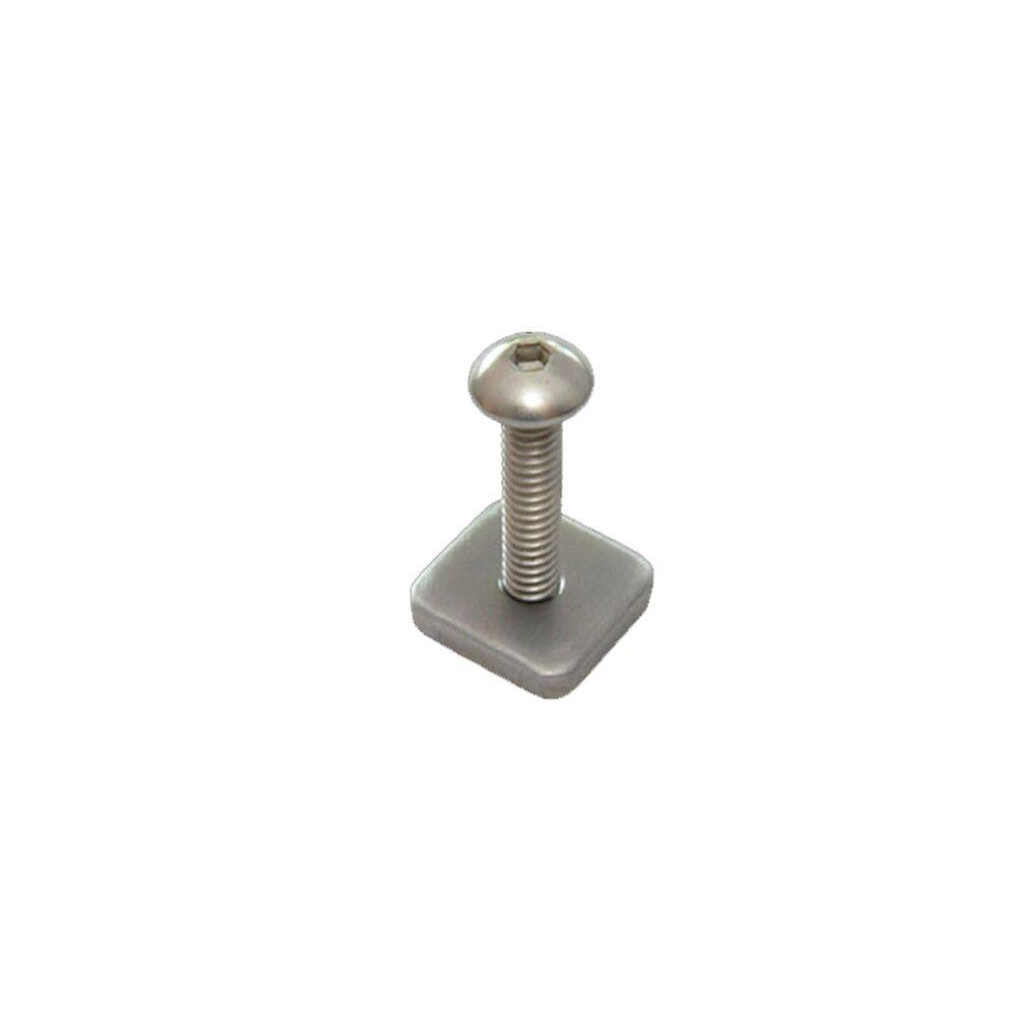 Longboard Plate and Screw
