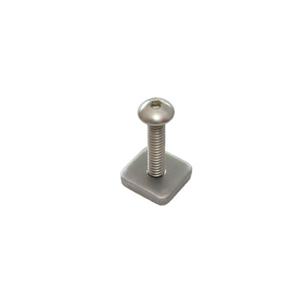 Longboard Plate and Screw